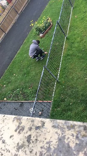 Outdoor Firework Display in Residential Backyard