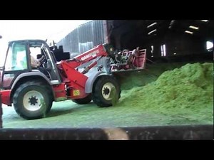 Silage 2012. Brian Buckraking With The Manitou