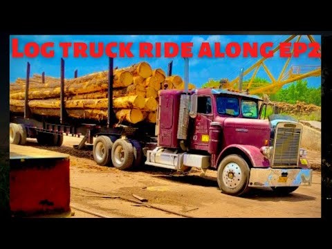 Log truck driving : loggerlife “ We logging Mane!!! Ride along ep2