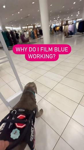 5.5K views · 594 reactions | Why does Mum film me working? . When I’m...
