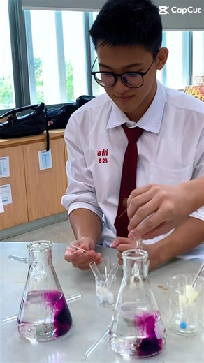 ✨🔬 The Magical Color Trail | Year 12 Chemistry 🔬✨ Our young chemists explored the fascinating world of permanganate and its ever-changing colours! From deep royal purple to mysterious greens and fading hues, each drop revealed a new transformation. 💜➡️💚➡️✨ Through hands-on investigation, students discovered how acids, bases, and reducing agents can completely change a single chemical’s story—turning beakers into pathways of discovery. 🌈 A journey of colour, chemistry, and curiosity—where sc