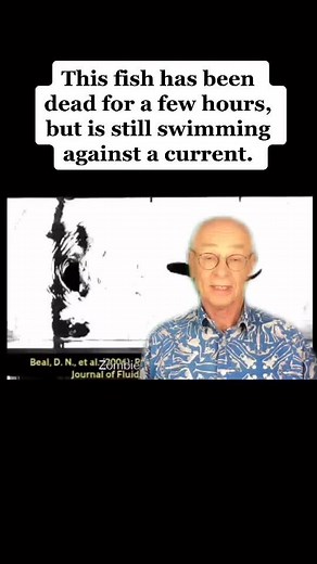 Discovering Zombie Fish in Your Aquarium: Dr. Karl's Science Revelation