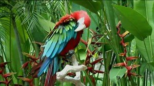 Zukunft ohne Menschen (S01E01) - Das menschliche Erbe