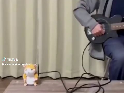 Hamster Memes: Guitar and Electricity Fun