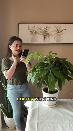 Plant App - Plant Identifier