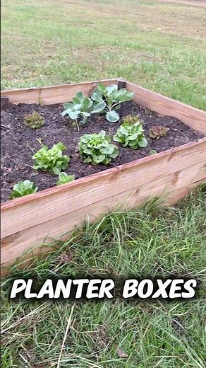 Let’s build a planter box!