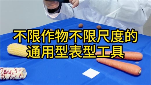 【科研神器】不限作物不限尺度的通用型表型工具|PhenoAI分析系统实测