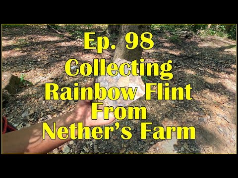 Ep. 98 - Collecting Rainbow Flint From Nether's Farm (Flint Ridge Ohio)
