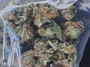 Ebony & Ivory | Marijuana Strain Reviews