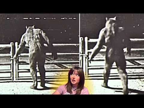 SCARIEST Bone Chilling Night Shift CRYPTIDS & Paranormal Encounters That Haunt 2026