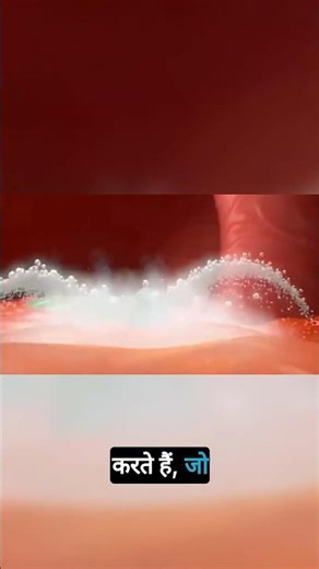 Stomach Acid to Toothpaste: Acid-Base in Action!🦷