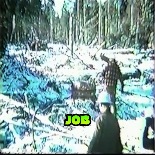 Logging Operations in the 1950s – Classic Lumber Industry #logging #logger #lumberjack #forestry | Robert Wood