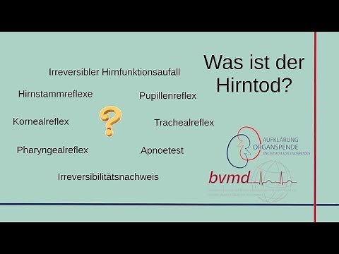 Was ist der irreversible Hirnfunktionsausfall (umgangssprachlich Hirntod)? || Aufklärung Organspende
