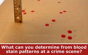 Detective Science: Weekly Science Activity | Science Buddies Blog