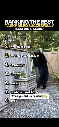 Ranking The Best Task Failed Successfully Moments (part 9) #shorts #best #viral