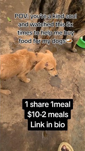 ‼️🚨WE BEG FOR HELP URGENTLY:- Can you help save another life?kindly visit our link in bio to donate.