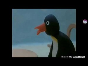 😭🐧Pingu Crying Compilation Collection.