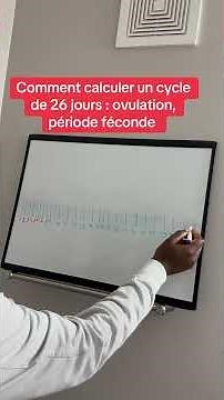 How to calculate a 26-day cycle: ovulation, fertile period