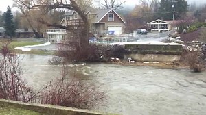 12K views · 46 reactions | KHQ Liz Burch is covering the rising Little Spokane River this morning: | KHQ Local News | Facebook