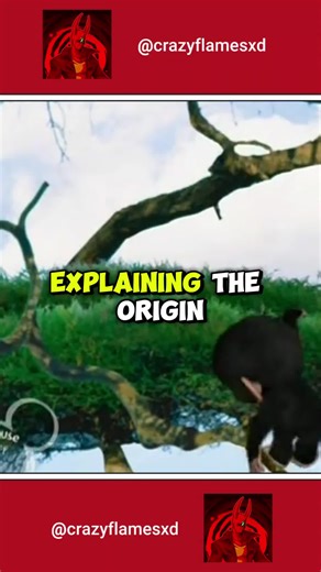 The Origin of Popular Cartoon Memes Explained