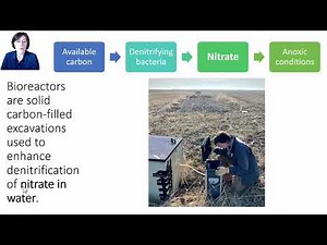 Module 10, Video 1: Bioreactor Introduction