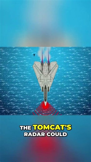 F-14 Tomcat: The Fighter Jet with Unbeatable Radar Eyes #shorts