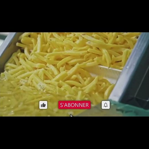 Ligne de production frite fraîche, du tri jusqu'au conditionnement des frites en sachet sous vide