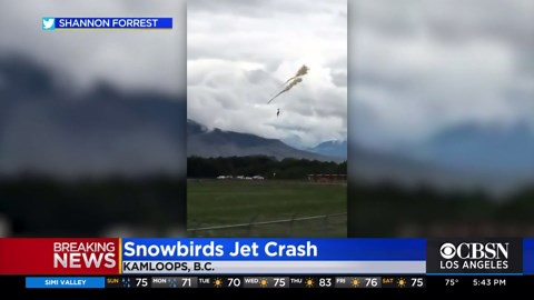 Jet crashes while doing flyover tribute to frontline workers in Canada