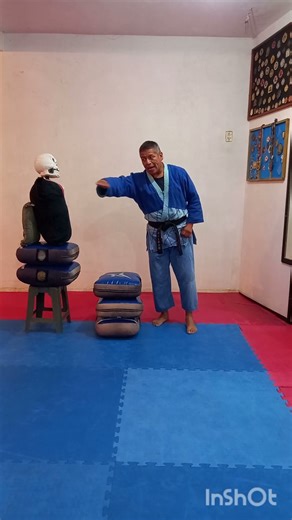 tutorial de patada lateral