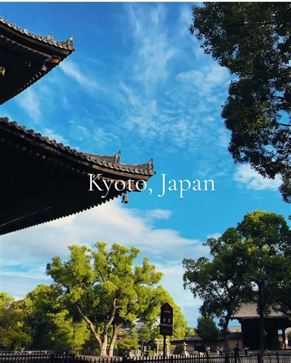 1 day in Kyoto!! Full vlog out on my YT channel! #kyotojapan #kyototravel #kyotovlog #travelvlog #japan