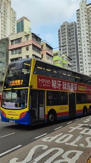 【少特！12米原色舊頭MMC行走石排灣至中環薄扶林線往中環碼頭】CTB SU4708 8420@7。