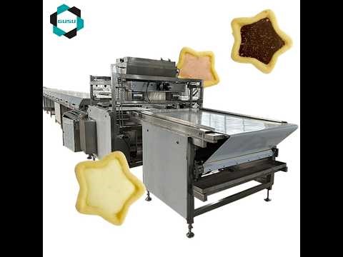 Biscuit Aligning Machine | Automatic Biscuit Arranging System for Production Lines