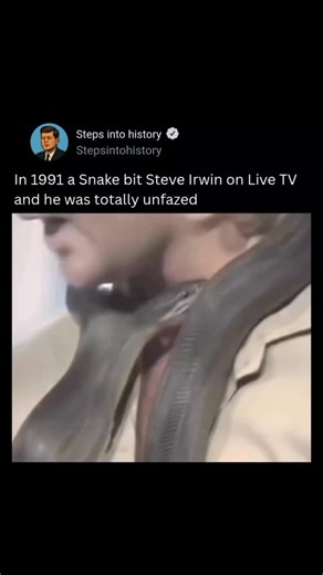 step into history on Instagram: "In 1991, long before his tragic death, Steve Irwin was bitten on the neck by a snake while filming for television — and he famously just kept rolling. The snake, a non-venomous python, struck him during an educational segment, but Irwin calmly reassured viewers, saying, “She’s just defending herself,” and explained the snake’s behavior instead of reacting in fear 😄 Moments like that — showing his deep respect for animals even when in danger — helped shape Irwin’