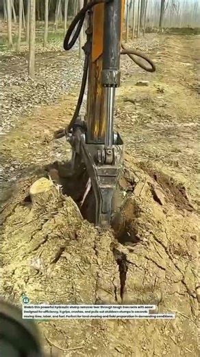 Hydraulic Stump Remover Crushes Roots Fast! 🌳💥 #StumpRemoval #HeavyEquipment #AgriTech
