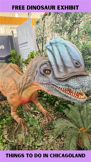 ABBY BILINSKI on Instagram: "DINOSAUR EXPLORE at Gail Borden Library 🦖✨ Looking for a FREE family adventure in Chicagoland? We checked out Dinosaur Explore at the Gail Borden Public Library in Elgin, IL, and my kids were obsessed. This exhibit brings 20+ life-size animatronic dinosaurs to the library, and the “oohs” and “aahs” started the moment we walked in! Your little explorers can: • Roam through six immersive dinosaur zones • See realistic animatronic dinos up close • Dig into hands-on sta