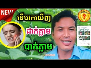 ថ្នាំឈឺធ្មេញ Best Khmer traditional Medicine plant for Toothache 2022