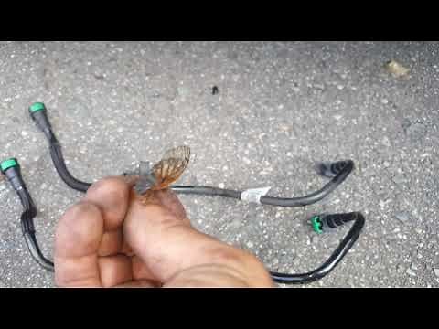 2017 Ford Focus p0456