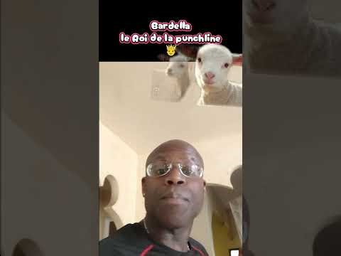 Bardella le roi de la punchline recadre cette journaliste de Mediapart...