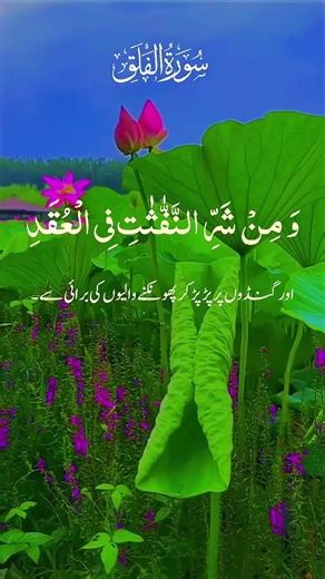 h Al-Falaq | Full Recitation with Beautiful Voice | Quran TilawatSurah Al-Falaq with#islamicvideo