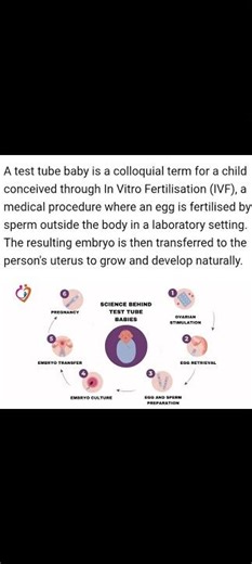 Test tube babies explanation.😲