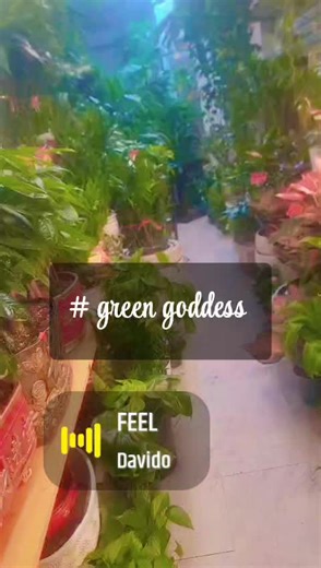 @HealthyGlowHub (@luxgreenglow)’s videos with original sound - @HealthyGlowHub