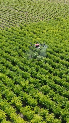 Syfero Synergetics Tech Solutions (P) Ltd on Instagram: "From Raw Metal to Ready-to-Fly 🚁 | Complete Agri Drone Spares by Syfero❗ Every powerful agri drone starts with precision-engineered spares. 📞+91 73056 94456 At Syfero, we don’t assemble parts — we manufacture them. From frames to propulsion systems, electronics to spray modules, every spare is designed, tested, and built in-house for Indian farming conditions. ✅ Higher durability ✅ Faster service & spare availability ✅ Lower downtime for