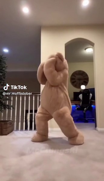 Exploring Fun Dance Edits with Memes and Bears