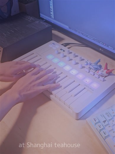 Acoustic Covers of Touhou Project Themes