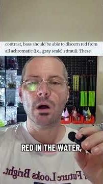 How Does A Bass See?