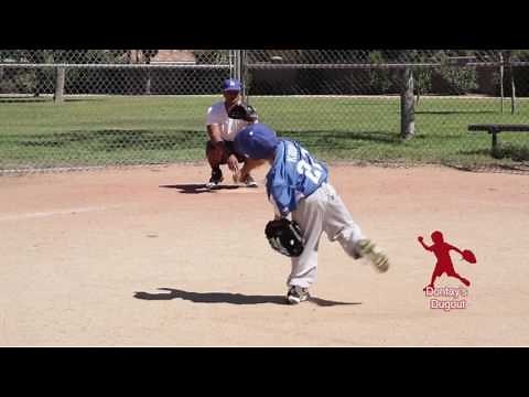 Amazing 3-year old Baseball player.