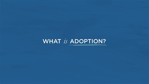 What is Adoption?