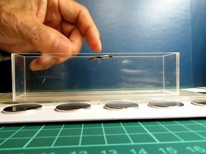 Magnetic levitation experiment Ⅲ