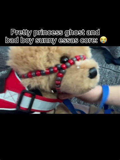 Made with my friend A: ) | also shout out to ESSA silly they now my fav essa youtuber |#essas