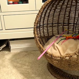 7.3K views · 185 reactions | Kitten takes its first steps _ third day after birth | Cat House | Facebook